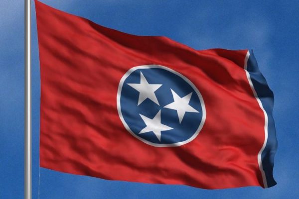 Tennessee State Flag photo